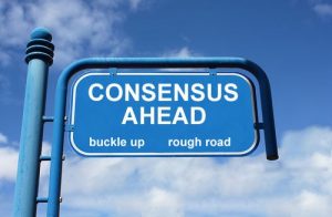 Consensus Decision Making