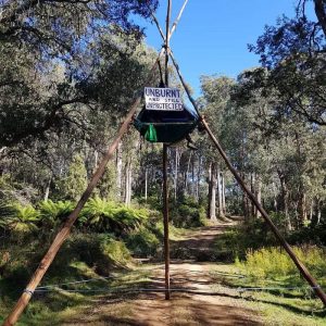 East Gippsland Forests - Defending Errinundra